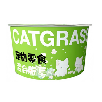 懒人泡面猫草盆栽无土水培