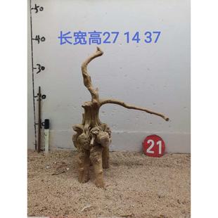 杜鹃根树桩栖根草缸造景沉木水陆缸雨林缸南美缸一木成景爬宠缸架