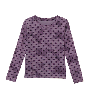 欧洲站2026年秋衣新款长袖圆点上衣网纱t恤女外穿洋气体恤打底衫