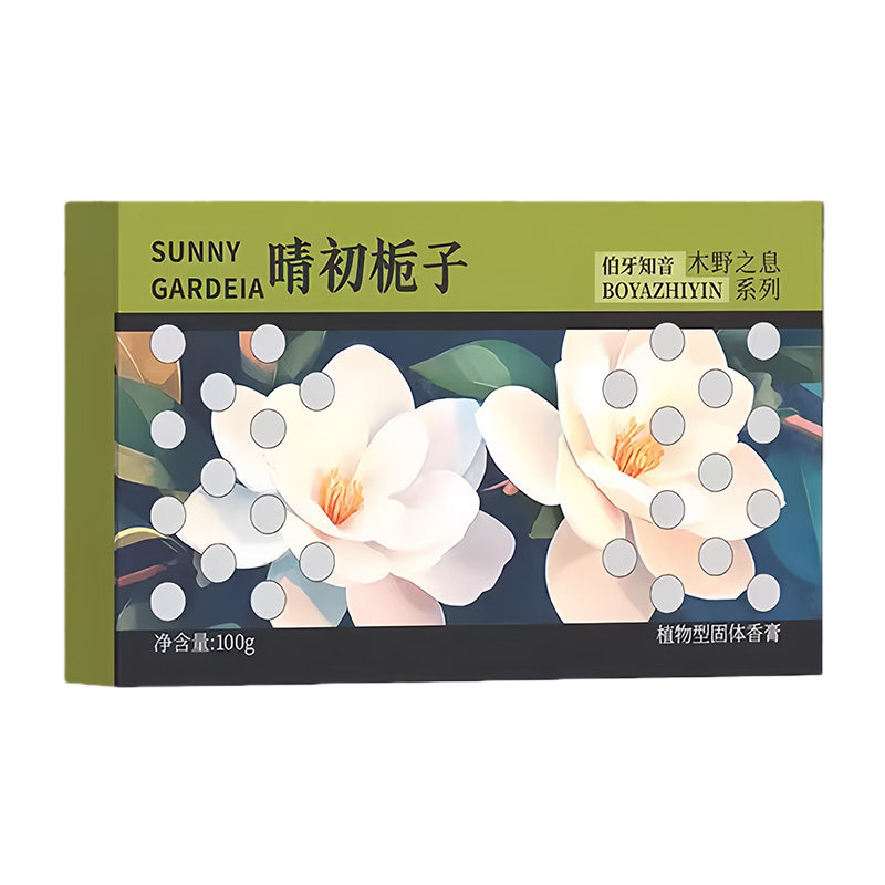 2026新款车载香薰香砖持久去异味