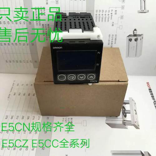 温控器 温控表E5CN-R2MTD-500 E5CN-RTD议价
