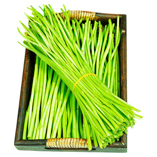 篱蒿去叶茼蒿当季芦蒿新鲜黎蒿绿色蔬菜野菜藜蒿鲜嫩泥蒿