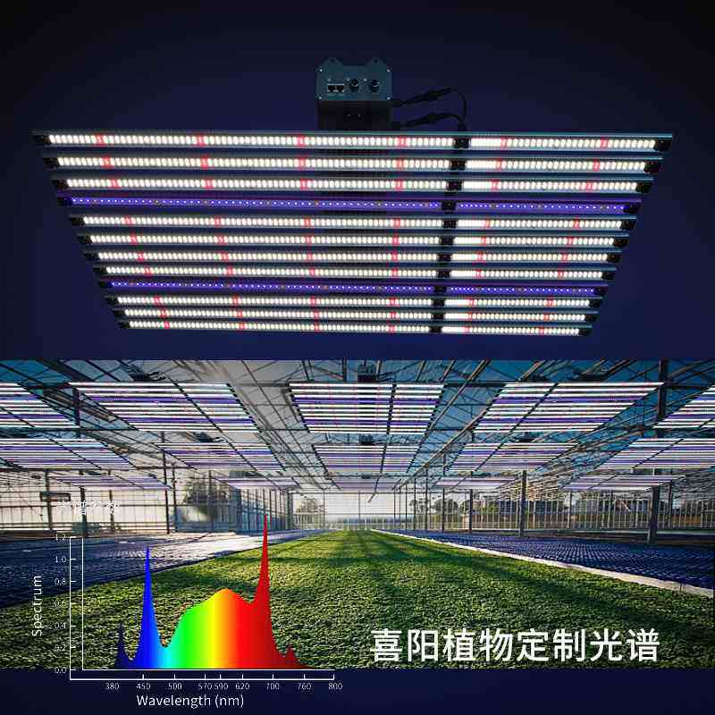 插拔款八爪鱼植物生长灯 两路调光温室大棚种植植物补光灯