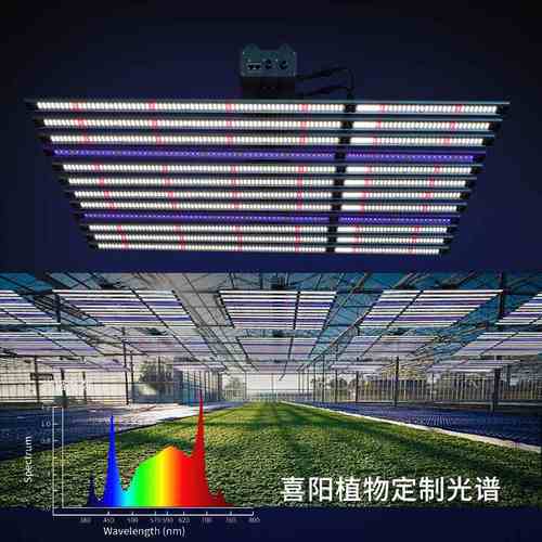插拔款八爪鱼植物生长灯 两路调光温室大棚种植植物补光灯