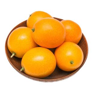 正宗广西阳朔金桔油皮金桔鲜果直发桂林老品种新鲜金橘黄皮金桔酱