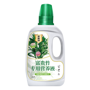 富贵竹营养液专用肥料专治黄叶生根转运竹龙竹观音竹水培专用肥料