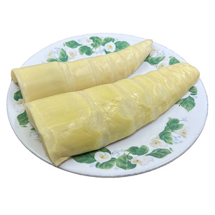 十二邨鲜笋尾骆坑笋尖小竹笋新鲜竹笋水煮清水笋农家特色菜小袋装