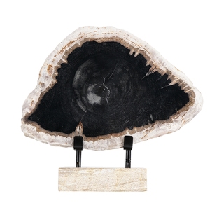 木化石原石轻奢摆件简约现代客厅摆饰工艺品北欧家居装饰品in摆设