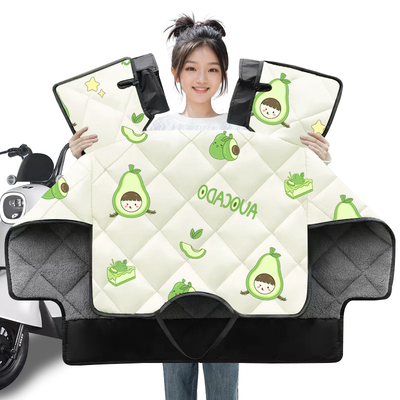 适用爱玛小型电动车加绒厚挡风被