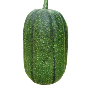 台湾苹果丝瓜种子水瓜菜瓜种籽盆栽籽种四季子苗秧蔬菜菜籽孑菜种