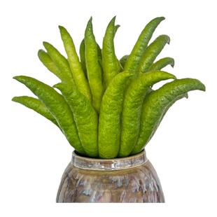 佛手柑鲜果新鲜佛手瓜切带枝室内摆件清供观赏闻香可食用花卉盆栽