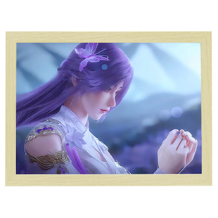 完美世界镜子灯光画创意小夜灯动漫荒天帝火灵儿来图定制照片镜面