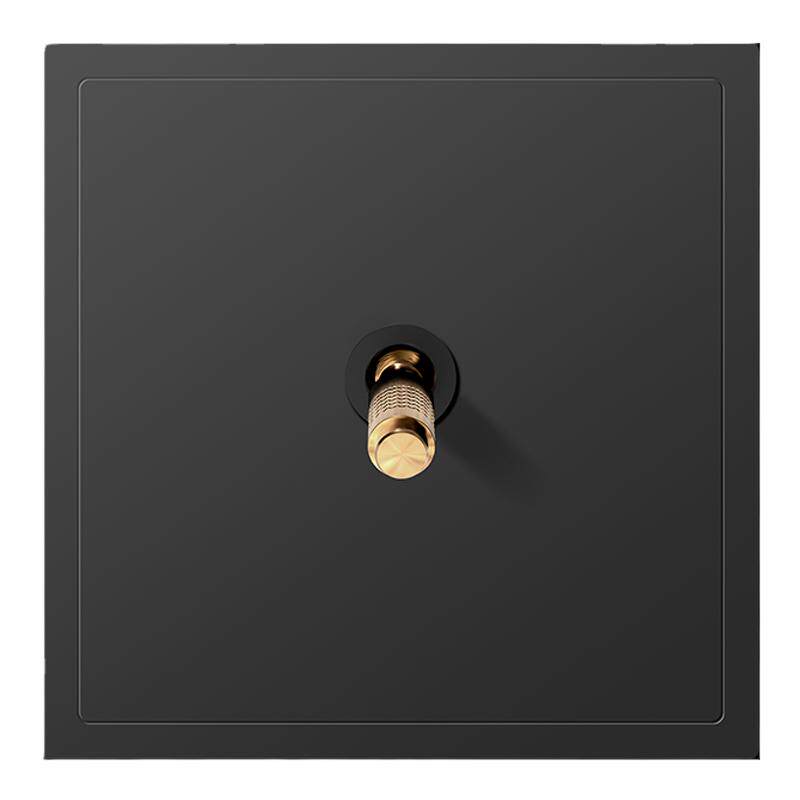 国际电工10A86型拨杆开关插座