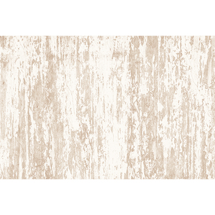 入户门内地垫进门门口高级感免洗防水防滑脚垫玄关地毯防水可定制