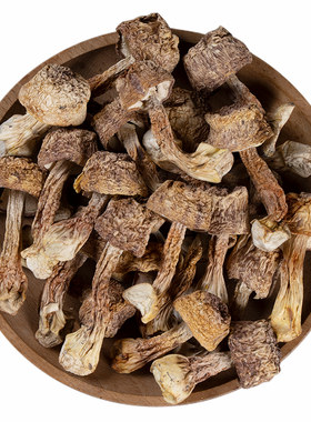 250g四川特产新鲜汤包姬松茸干货