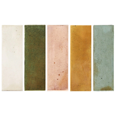 Hanoi/EQUIPE西班牙进口植物墙砖