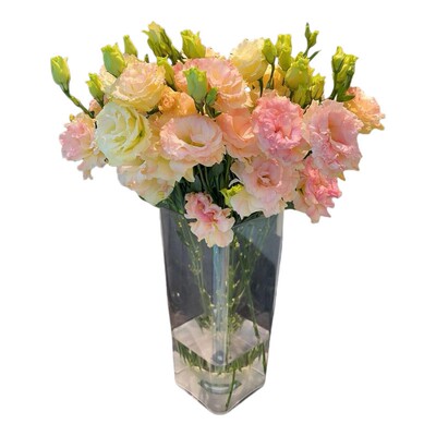 洋桔梗鲜花龙胆花混搭花束