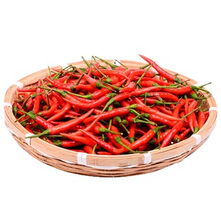 辣椒苗青薄皮椒秧苗朝天椒小米辣牛角螺丝椒四季阳台庭院种植种子