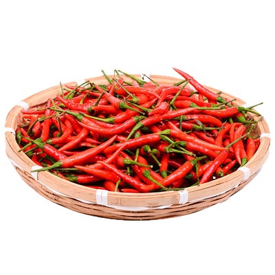 春季带土发货辣椒苗小米辣青椒苗