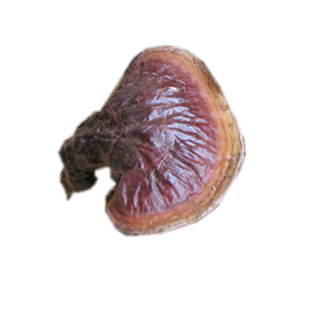 【2025年新货】长白山纯野生松杉灵芝薄边白心农户深山采摘100克