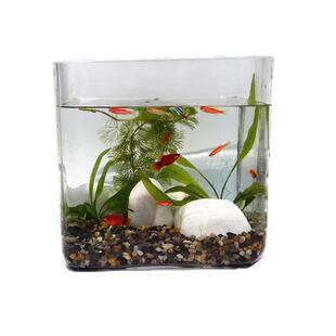 正方形玻璃鱼缸 无粘接办公桌面小鱼缸 简约水草缸超白玻璃乌龟缸