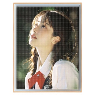 新款5D手工钻石画DIY私人制订来图制定圆钻方钻马赛克挂画装饰画