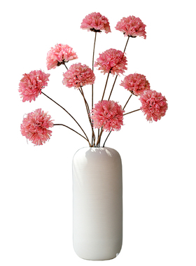 muzhi干花花球植物果实花艺