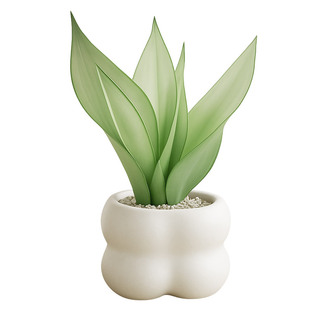 白玉虎皮兰盆栽绿植办公内桌面小名贵稀有旺宅室内植物摆件四季