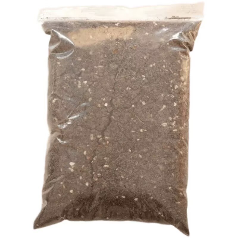 草莓种植土种菜养花专用土