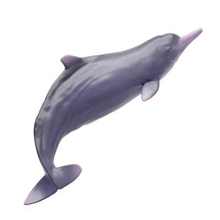 PNSO动物园成长陪伴模型17中华白海豚稀宝