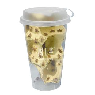 无菌白蟋蟀活物食用白蛐蛐奶茶杯针头大小蟋蟀睫角守宫蛙专用饲料