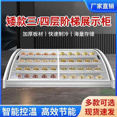 冷藏展示柜三四阶梯移动摆摊保鲜点菜展示柜三轮车炸串烧烤展示柜