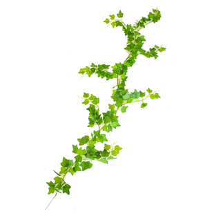 仿真藤条绿萝叶假树叶室内空调水管道装饰缠绕遮挡塑料花藤蔓绿叶