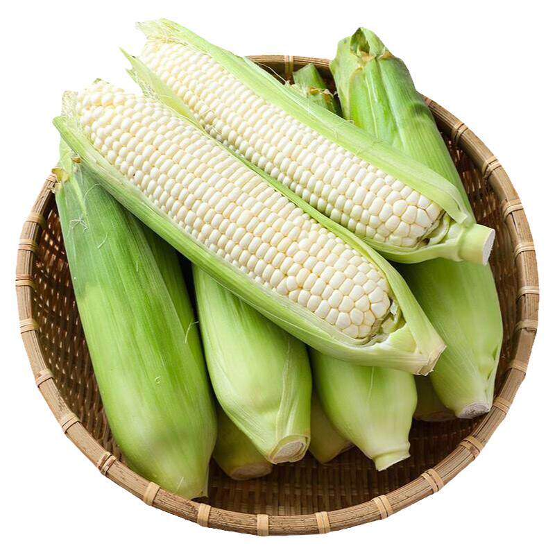 白糯玉米新鲜棒子领券下单蔬菜