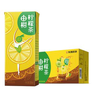 东鹏饮料由柑柠檬茶250ml*18盒整箱油柑果味搭配红茶柠檬茶礼盒装