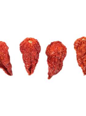 最辣的死神辣椒魔鬼辣椒龙息椒