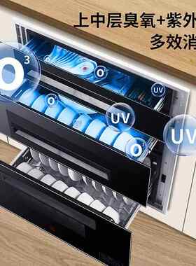 柜家用嵌入式厨房碗筷餐具120L碗柜镶嵌式二星