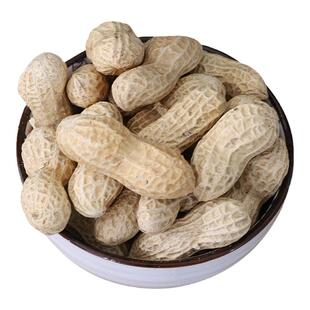 出口日本威海特产香酥烘烤花生果无添加盐原味炒花生带壳红皮零食