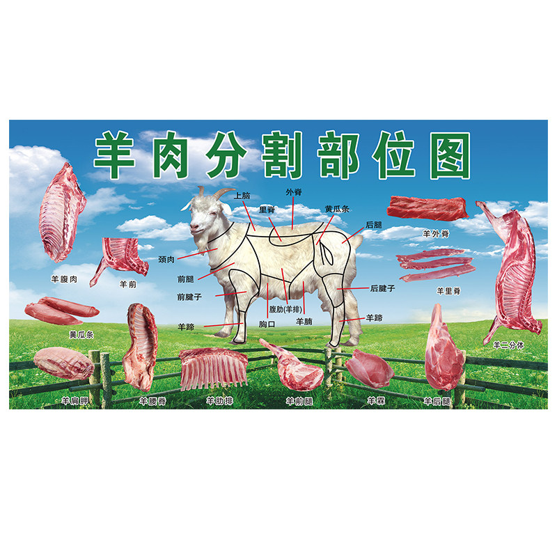 新鲜牦牛黄牛肉黑山羊肉土猪黑猪肉分解分割海报墙画贴画贴纸壁画