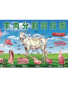 新鲜牦牛黄牛肉黑山羊肉土猪黑猪肉分解分割海报墙画贴画贴纸壁画
