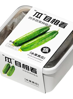 四季蔬果儿童种植观察小盆栽