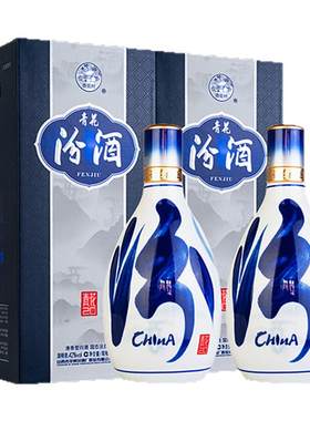 青花20瓷瓶雅韵自饮收藏