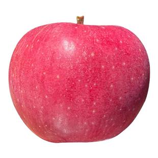 【顺丰】陕西西北农科院脆甜皮薄瑞阳苹果新鲜孕妇水果洗洗带皮吃