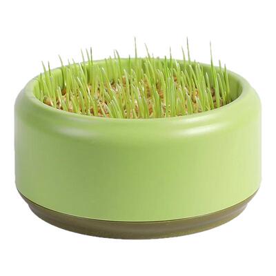 【全网热销100万+】懒人水培猫草