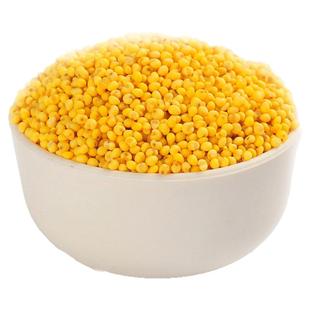 山西代县大黄米农家特产新软黏粘黍子五谷杂粮腊八粥米粽子米包邮