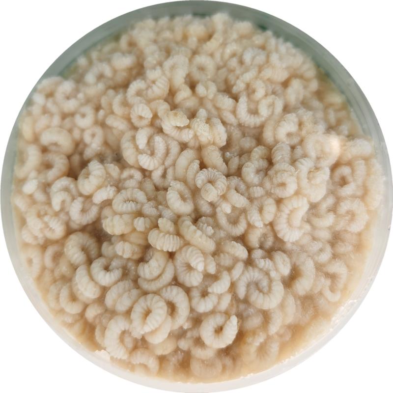 新鮮蜂王胎蜂蛹漿蟲自產(chǎn)蜂幼蟲女性卵巢凍干片凰滇老 500克