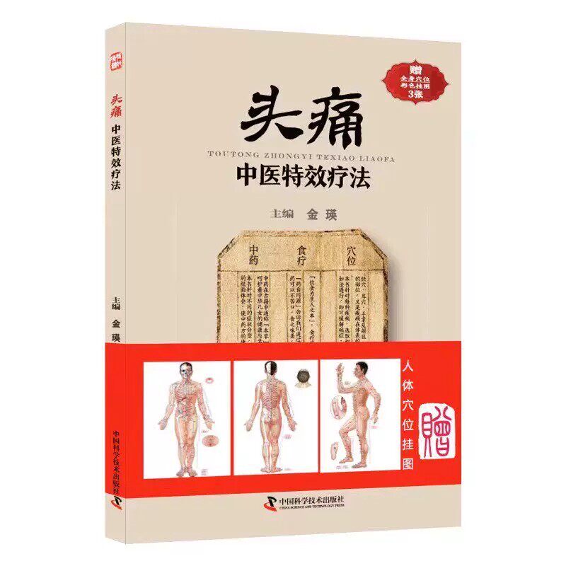 头痛中医特效疗法全解 基本知识特色疗法合理调养临证用药务求精当引经据典头疼头痛治疗方法中医临床医学书籍家庭保健养生