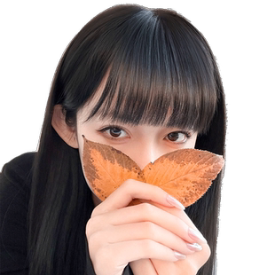 漫画刘海假发女自然前额真发无痕假刘海齐刘海假发片空气刘海头帘