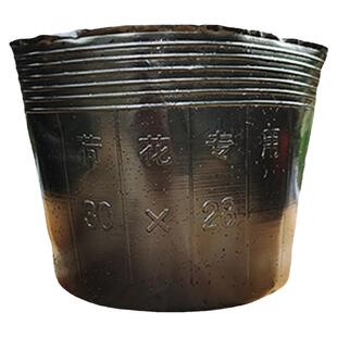 荷花盆加厚一次性黑色塑料无孔碗莲盆水生植物育苗盆睡莲盆营养钵