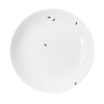 瑞典Gustafsberg古斯塔夫深盘